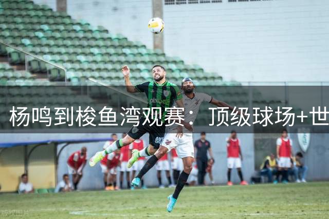 杨鸣到梭鱼湾观赛：顶级球场+世界级球迷文化=大连足球城底蕴